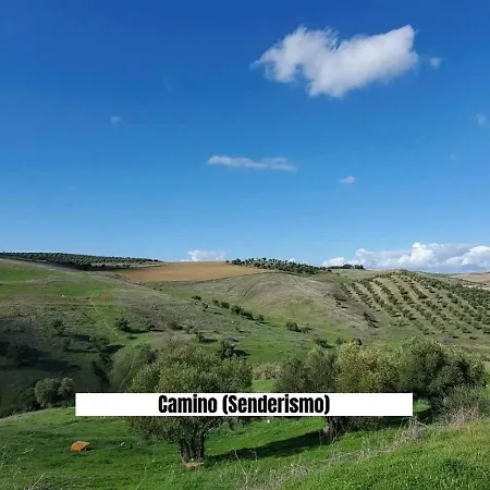 Apartalux Sevilla * Camas