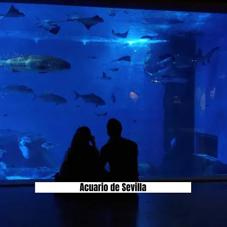 Apartalux Sevilla